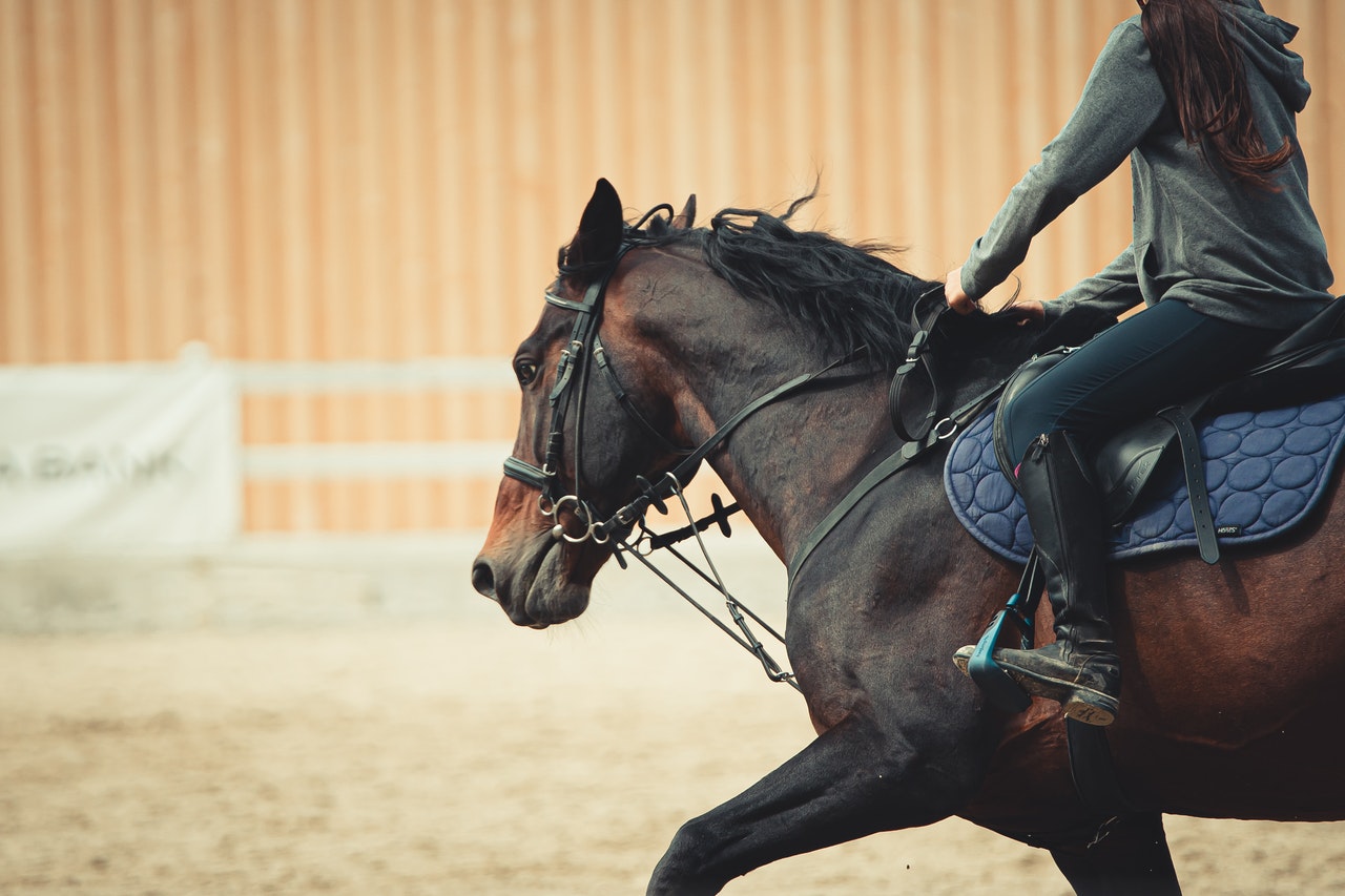 Guide de l&rsquo;équipement pour cavalier