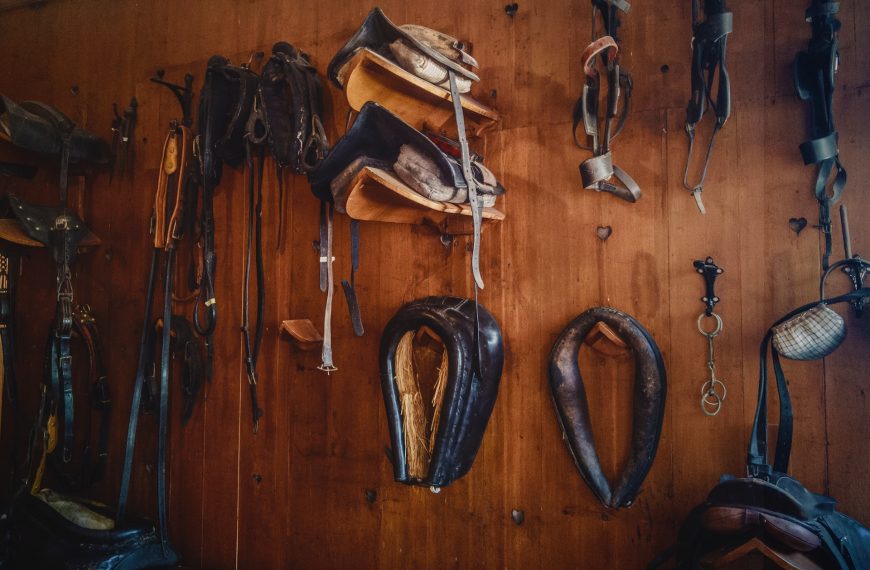 Guide de l&rsquo;équipement d&rsquo;équitation pour les débutants